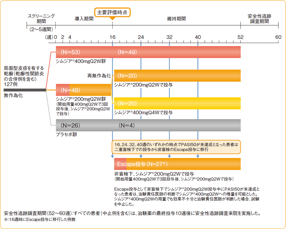 試験概要