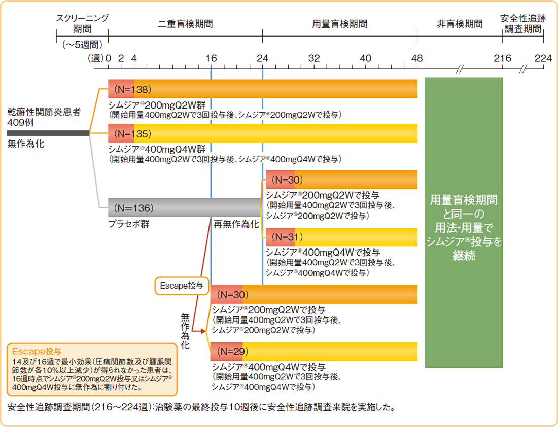 試験概要